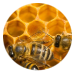 ハチミツイメージ
